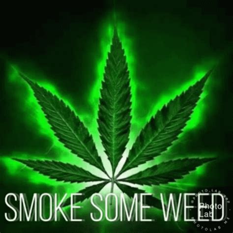 weed gifs